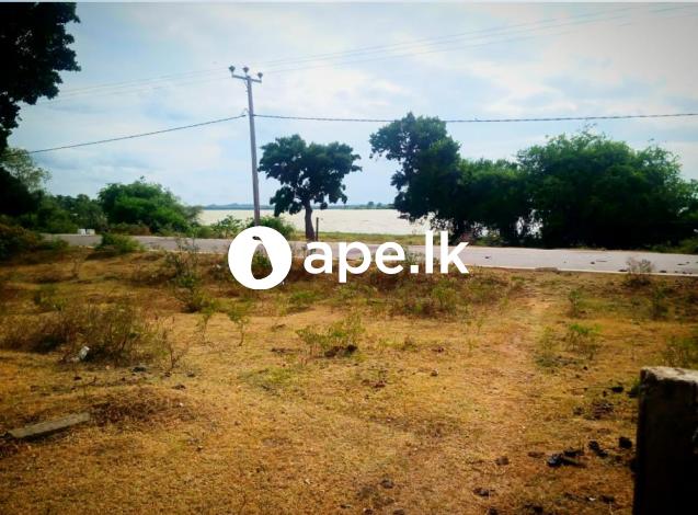 Land for sale bandaragiriya